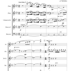 Paul Dukas’s Sorcerer’s Apprentice for Woodwind Quintet